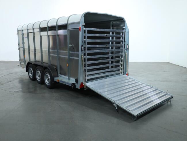 2025 Ifor Williams TA510 16x6 (497x178x182cm) Veetrailer 3-asser ADV1146 | Aanhangwagen | Veetrailer