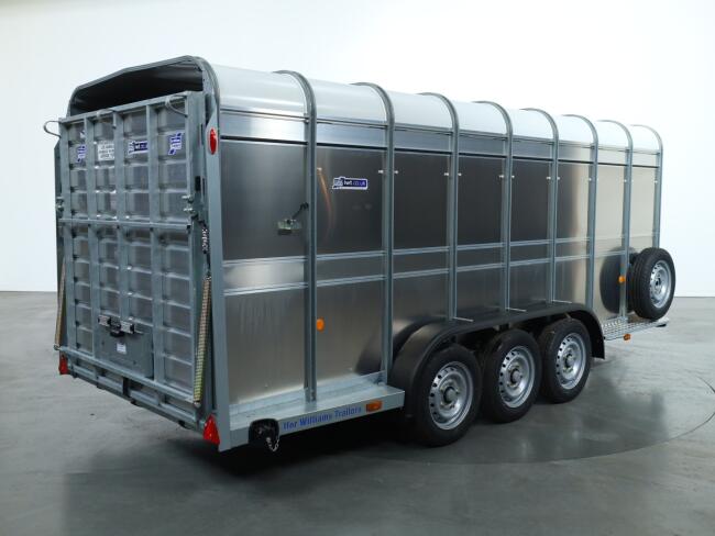 2025 Ifor Williams TA510 16x6 (497x178x182cm) Veetrailer 3-asser ADV1146 | Aanhangwagen | Veetrailer