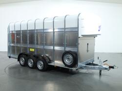 2026 Ifor Williams TA510 16x7 (497x178x212cm) Dubbeldeks Schapentrailer/ Veetrailer VT1087 | Aanhangwagen | Veetrailer
