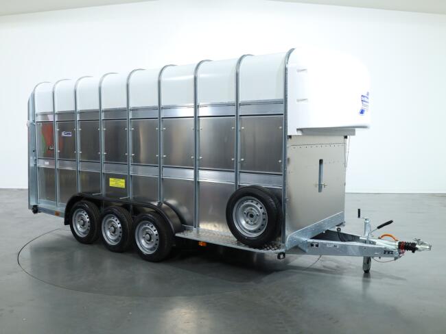 2026 Ifor Williams TA510 16x7 (497x178x212cm) Dubbeldeks Schapentrailer/ Veetrailer VT1087 | Aanhangwagen | Veetrailer