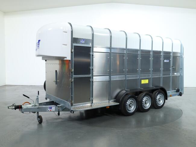 2026 Ifor Williams TA510 16x7 (497x178x212cm) Dubbeldeks Schapentrailer/ Veetrailer VT1087 | Aanhangwagen | Veetrailer