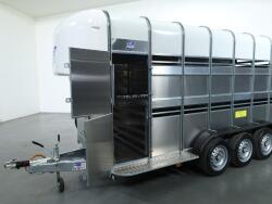 2026 Ifor Williams TA510 16x7 (497x178x212cm) Dubbeldeks Schapentrailer/ Veetrailer VT1087 | Aanhangwagen | Veetrailer