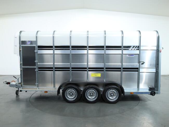 2026 Ifor Williams TA510 16x7 (497x178x212cm) Dubbeldeks Schapentrailer/ Veetrailer VT1087 | Aanhangwagen | Veetrailer