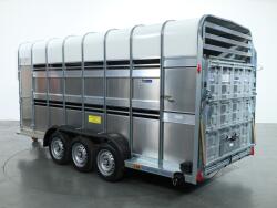 2026 Ifor Williams TA510 16x7 (497x178x212cm) Dubbeldeks Schapentrailer/ Veetrailer VT1087 | Aanhangwagen | Veetrailer