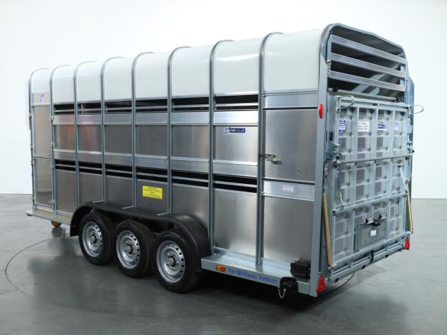 2026 Ifor Williams TA510 16x7 (497x178x212cm) Dubbeldeks Schapentrailer/ Veetrailer VT1087 | Aanhangwagen | Veetrailer