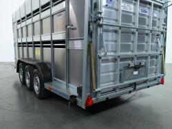 2026 Ifor Williams TA510 16x7 (497x178x212cm) Dubbeldeks Schapentrailer/ Veetrailer VT1087 | Aanhangwagen | Veetrailer