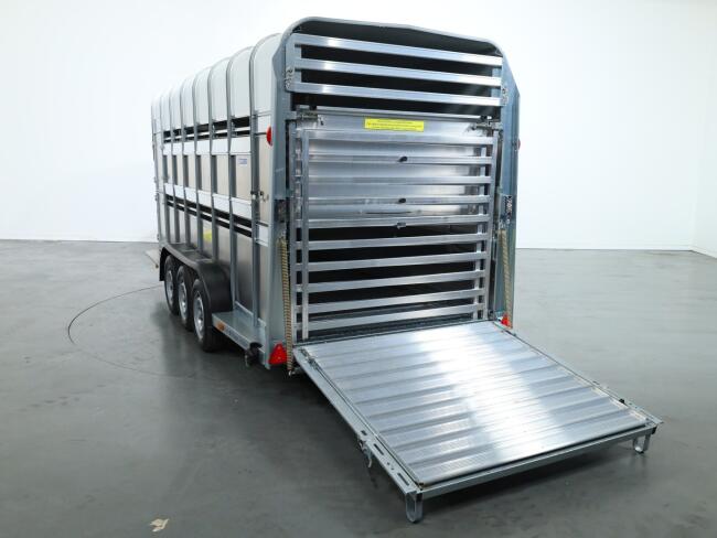 2026 Ifor Williams TA510 16x7 (497x178x212cm) Dubbeldeks Schapentrailer/ Veetrailer VT1087 | Aanhangwagen | Veetrailer