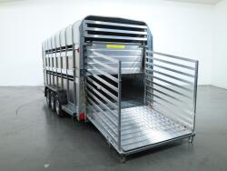 2026 Ifor Williams TA510 16x7 (497x178x212cm) Dubbeldeks Schapentrailer/ Veetrailer VT1087 | Aanhangwagen | Veetrailer