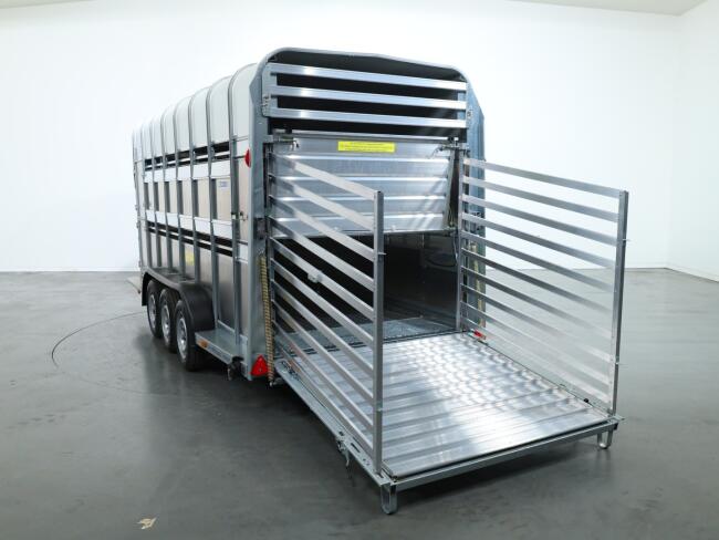 2026 Ifor Williams TA510 16x7 (497x178x212cm) Dubbeldeks Schapentrailer/ Veetrailer VT1087 | Aanhangwagen | Veetrailer