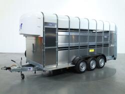 2026 Ifor Williams TA510 16x7 (497x178x212cm) Dubbeldeks Schapentrailer/ Veetrailer VT1087 | Aanhangwagen | Veetrailer