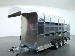 2026 Ifor Williams TA510 16x7 (497x178x212cm) Dubbeldeks Schapentrailer/ Veetrailer VT1087 | Aanhangwagen | Veetrailer