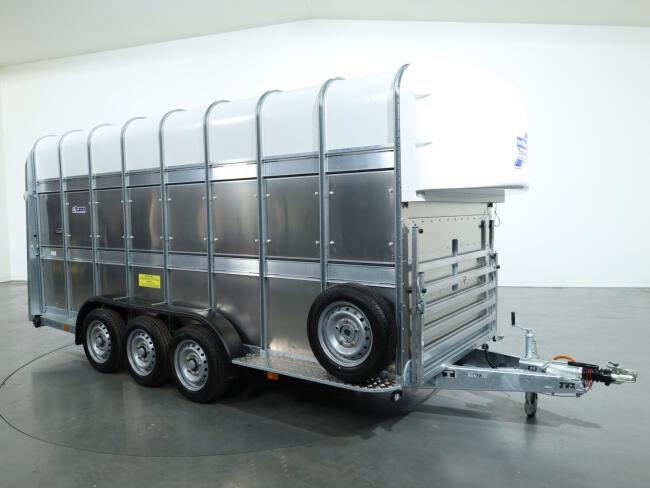 2026 Ifor Williams TA510 16x7 (497x178x212cm) Dubbeldeks Schapentrailer/ Veetrailer VT1087 | Aanhangwagen | Veetrailer