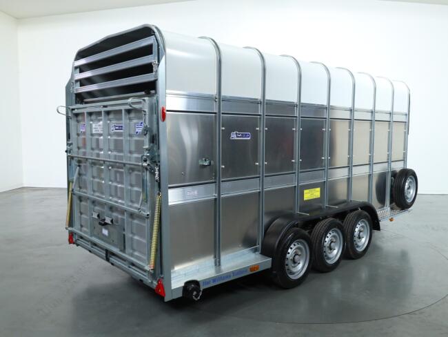 2026 Ifor Williams TA510 16x7 (497x178x212cm) Dubbeldeks Schapentrailer/ Veetrailer VT1087 | Aanhangwagen | Veetrailer