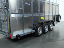 2026 Ifor Williams TA510 16x7 (497x178x212cm) Dubbeldeks Schapentrailer/ Veetrailer VT1087 | Aanhangwagen | Veetrailer