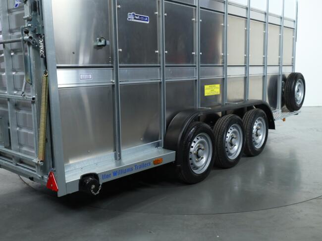 2026 Ifor Williams TA510 16x7 (497x178x212cm) Dubbeldeks Schapentrailer/ Veetrailer VT1087 | Aanhangwagen | Veetrailer